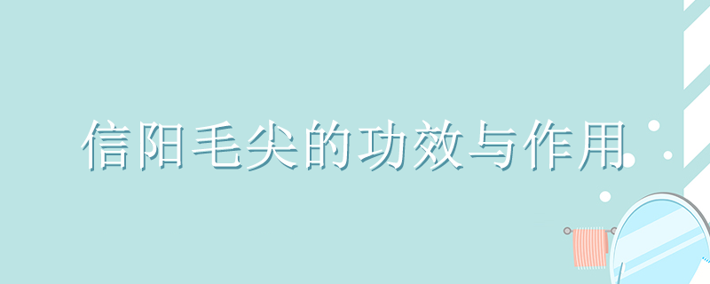 信陽毛尖的功效與作用是什么