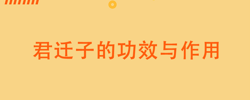 君迁子的功效与作用是什么}