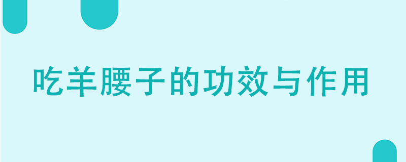 吃羊腰子的功效与作用有哪些