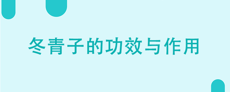 冬青子的功效与作用是什么