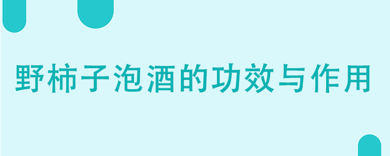 野柿子泡酒的功效与作用是什么